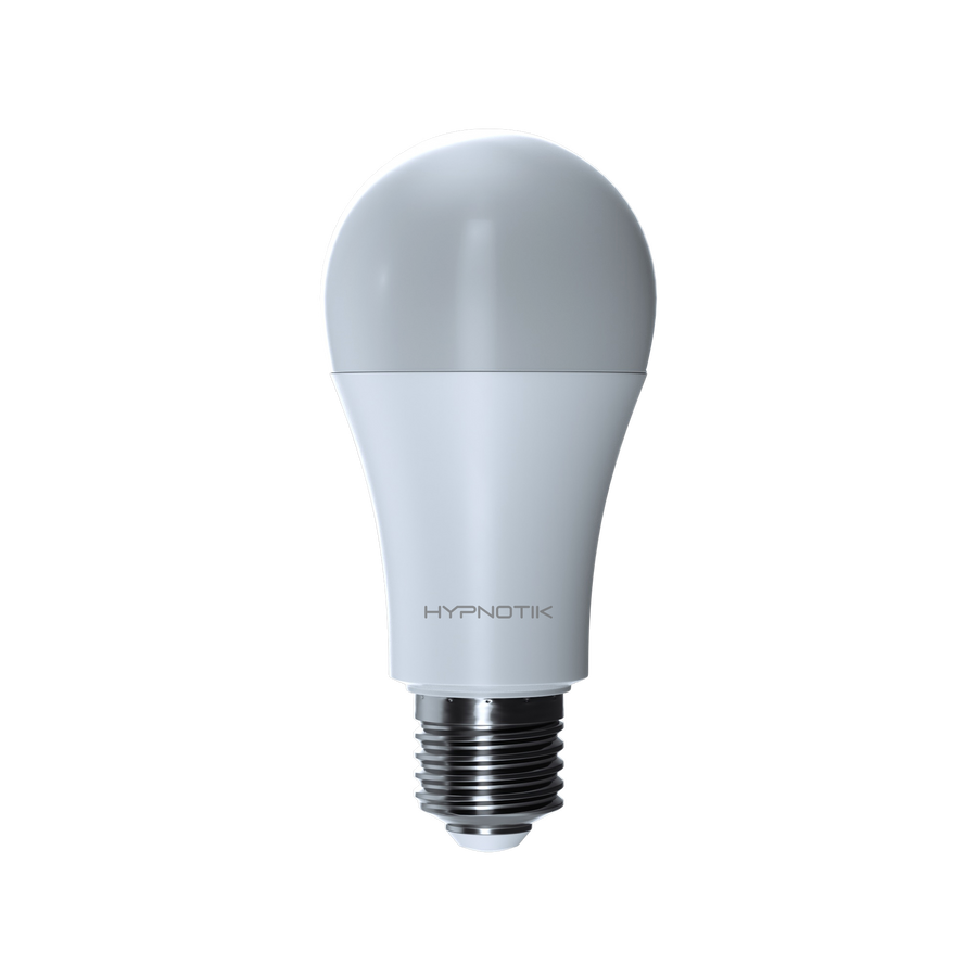 A19 Bulb