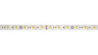 LED tape light on a clean white strip with cut indicators.