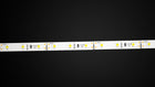 CPO Custom Length 12V GLOW™ LED Tape Light