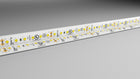 CPO Custom Length 24V FLAME™ Splash Proof (IP 65) LED Tape Light